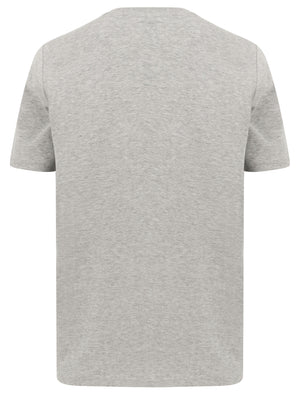 Santa Monica Applique Motif Cotton Jersey T-Shirt In Light Grey Marl - Tokyo Laundry