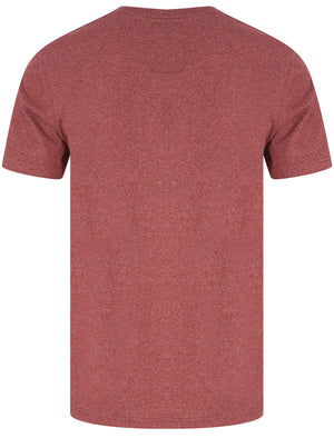 Star Wing Motif Cotton Jersey Grindle T-Shirt in Burgundy - Tokyo Laundry
