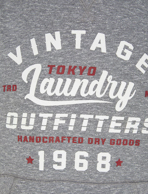 Swifter Motif Brushback Fleece Pullover Hoodie in Grey - Tokyo Laundry