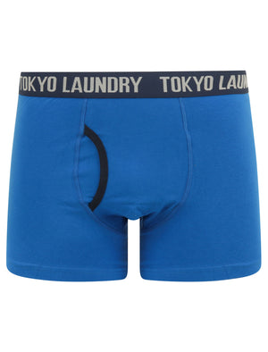 Alcott (2 Pack) Striped Boxer Shorts Set in Jet Blue / Navy Blazer - Tokyo Laundry