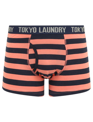 Alcott (2 Pack) Striped Boxer Shorts Set in Peach Blossom / Navy Blazer - Tokyo Laundry