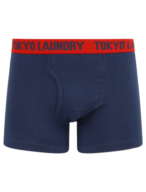 Arley (2 Pack) Striped Boxer Shorts Set in Barados Cherry / Medieval Blue - Tokyo Laundry