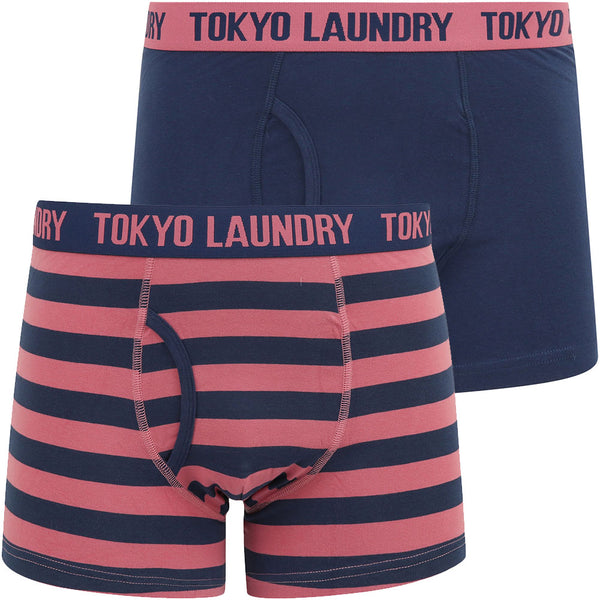 Arley (2 Pack) Striped Boxer Shorts Set in Heather Rose / Medieval Blue - Tokyo Laundry