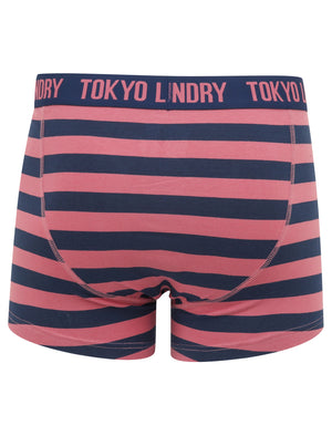Arley (2 Pack) Striped Boxer Shorts Set in Heather Rose / Medieval Blue - Tokyo Laundry