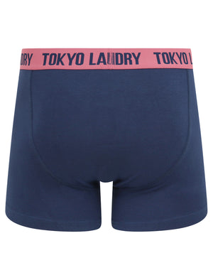 Arley (2 Pack) Striped Boxer Shorts Set in Heather Rose / Medieval Blue - Tokyo Laundry