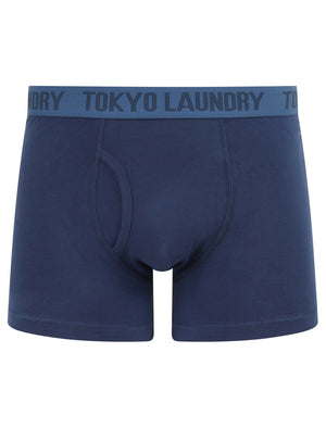 Arley (2 Pack) Striped Boxer Shorts Set In Washed Blue / Medieval Blue - Tokyo Laundry