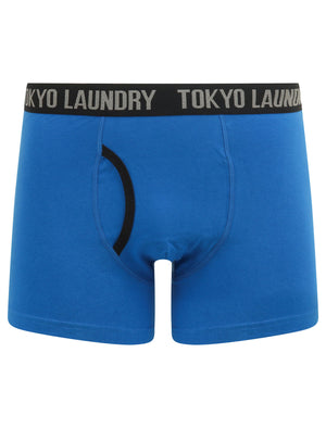 Athelstan (2 Pack) Boxer Shorts Set in Bright Green / Jet Blue - Tokyo Laundry