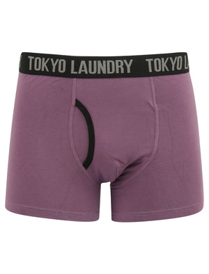 Athelstan (2 Pack) Boxer Shorts Set in Grape Jam / Navy Blazer - Tokyo Laundry