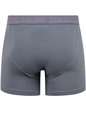 Bancroft (2 Pack) Boxer Shorts Set in Vintage Indigo / Grape Jam - Tokyo Laundry