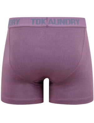 Bancroft (2 Pack) Boxer Shorts Set in Vintage Indigo / Grape Jam - Tokyo Laundry