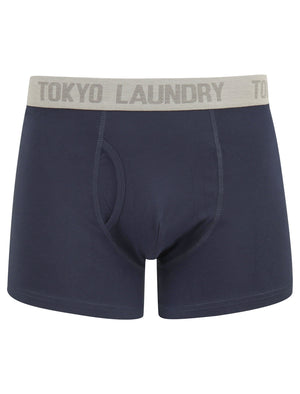 Bromley (2 Pack) Boxer Shorts Set in High Risk Red / Navy Blazer - Tokyo Laundry