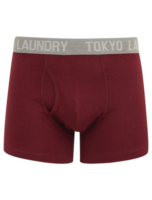 Bromley (2 Pack) Boxer Shorts Set in Jolly Green / Port Royale - Tokyo Laundry