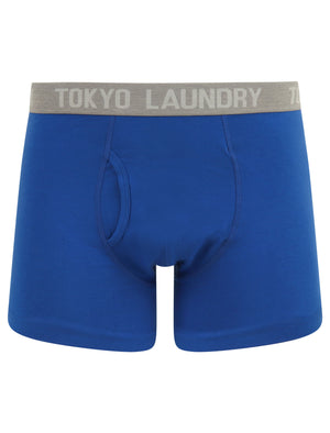Bromley (2 Pack) Boxer Shorts Set in Sea Surf Blue / Peach Blossom - Tokyo Laundry