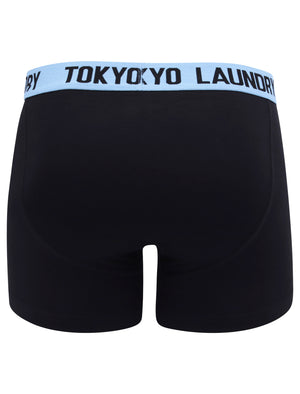 Brompton 2 (2 Pack) Boxer Shorts Set in Allure Blue / Grape Jam - Tokyo Laundry
