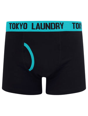 Brompton (2 Pack) Boxer Shorts Set in Algiers Blue / Green Glow - Tokyo Laundry