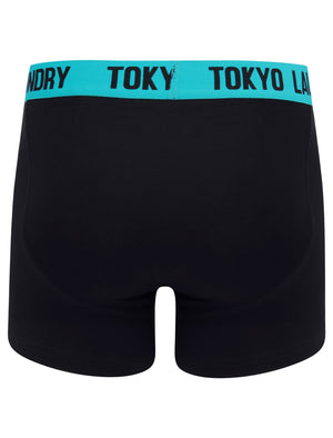Brompton (2 Pack) Boxer Shorts Set in Algiers Blue / Green Glow - Tokyo Laundry