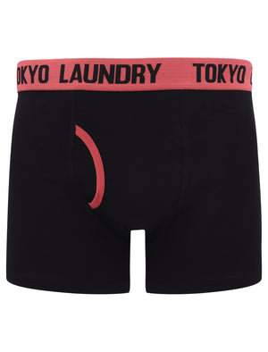 Brompton (2 Pack) Boxer Shorts Set in Baroque Rose / Blue Yonder - Tokyo Laundry