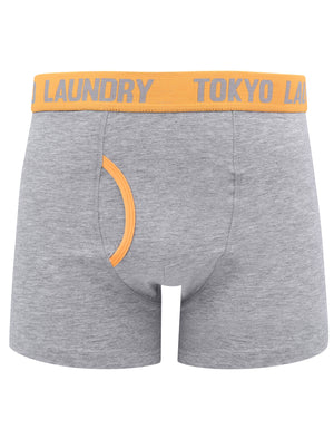 Brompton (2 Pack) Boxer Shorts Set in Purple Opulence / Blazing Orange - Tokyo Laundry