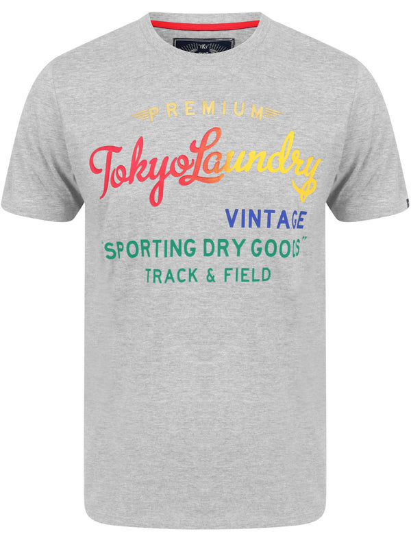 Candyshop Ombre Motif Cotton Jersey T-Shirt In Light Grey Marl - Tokyo Laundry