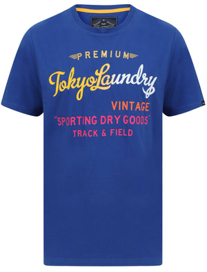 Candyshop Ombre Motif Cotton Jersey T-Shirt In Sea Surf Blue - Tokyo Laundry