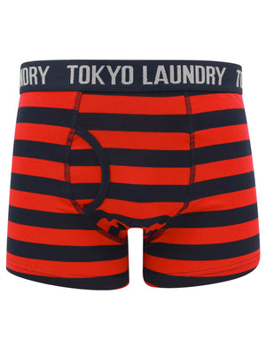 Needham (2 Pack) Striped Boxer Shorts Set in Barados Cherry / Light Grey Marl - Tokyo Laundry
