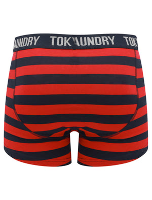 Needham (2 Pack) Striped Boxer Shorts Set in Barados Cherry / Light Grey Marl - Tokyo Laundry