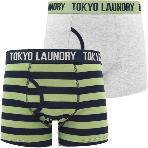 Needham (2 Pack) Striped Boxer Shorts Set in Green Eyes / Light Grey Marl - Tokyo Laundry