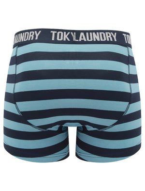 Needham (2 Pack) Striped Boxer Shorts Set in Niagara Falls Blue / Light Grey Marl - Tokyo Laundry