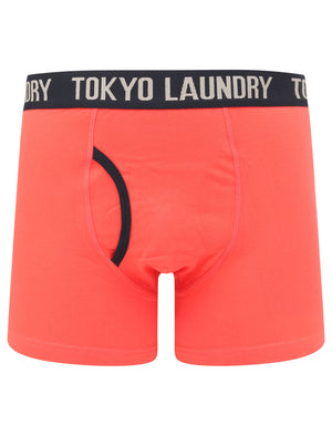 Neville 2 (2 Pack) Striped Boxer Shorts Set in Hot Coral / Sky Captain Navy - Tokyo Laundry