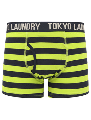 Neville 2 (2 Pack) Striped Boxer Shorts Set in Lime Green / Sky Captain Navy - Tokyo Laundry