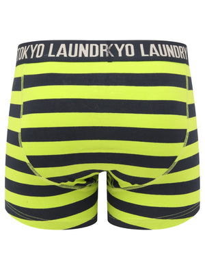 Neville 2 (2 Pack) Striped Boxer Shorts Set in Lime Green / Sky Captain Navy - Tokyo Laundry