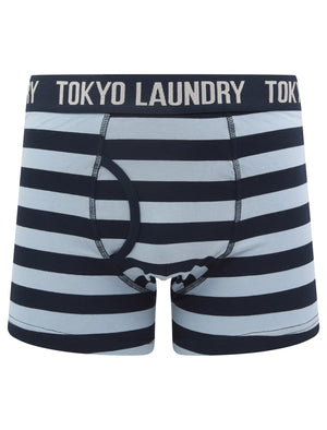 Nicholson (2 Pack) Striped Boxer Shorts Set in Blue Fog / Sky Captain Navy - Tokyo Laundry