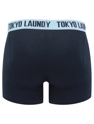 Nicholson (2 Pack) Striped Boxer Shorts Set in Blue Fog / Sky Captain Navy - Tokyo Laundry