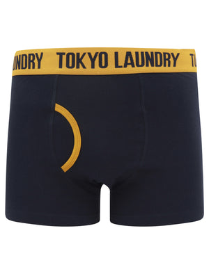 Nicholson (2 Pack) Striped Boxer Shorts Set in Buckthorn Brown / Sky Captain Navy - Tokyo Laundry