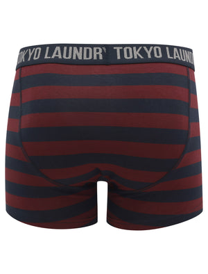 Nicholson (2 Pack) Striped Boxer Shorts Set in Port Royale / Sky Captain Navy - Tokyo Laundry