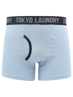Northiam (2 Pack) Striped Boxer Shorts Set in Blue Fog / Sky Captain Navy - Tokyo Laundry