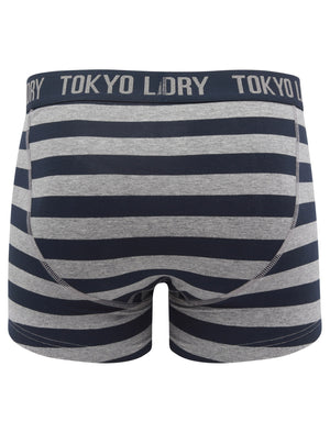 Northiam (2 Pack) Striped Boxer Shorts Set in Mid Grey Marl / Sky Captain Navy - Tokyo Laundry