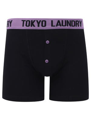 Northington 2 (2 Pack) Boxer Shorts Set in River Green / Grape Jam - Tokyo Laundry