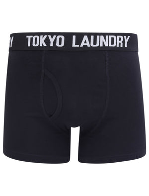 Oceana 2 (2 Pack) Boxer Shorts Set in Niagara Falls Blue / Light Grey Marl - Tokyo Laundry