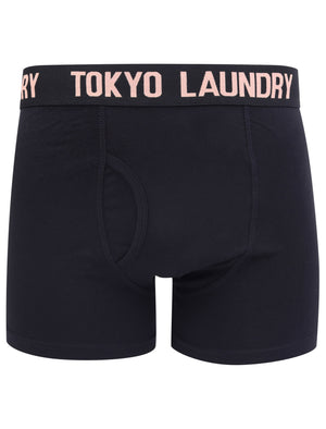 Oceana 2 (2 Pack) Boxer Shorts Set in Peach / Light Grey Marl - Tokyo Laundry