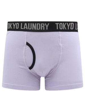 Oldfield (2 Pack) Boxer Shorts Set in Aqua Haze / Lanquid Lavender - Tokyo Laundry