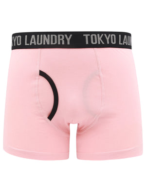 Oldfield (2 Pack) Boxer Shorts Set in Coral Cloud / Niagara Falls Blue - Tokyo Laundry