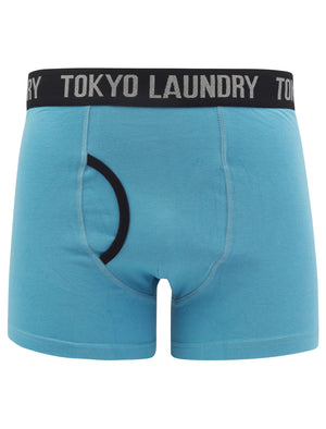 Oldfield (2 Pack) Boxer Shorts Set in Coral Cloud / Niagara Falls Blue - Tokyo Laundry