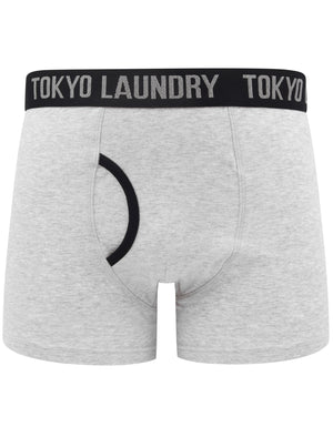 Oldfield (2 Pack) Boxer Shorts Set in Deep Cobalt / Light Grey Marl - Tokyo Laundry