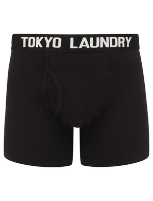 Parkfields (2 Pack) Boxer Shorts Set in Bright White / Blue Moon - Tokyo Laundry