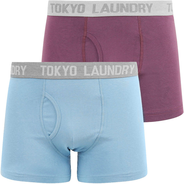 Parvin (2 Pack) Boxer Shorts Set in Allure Blue / Grape Jam - Tokyo Laundry