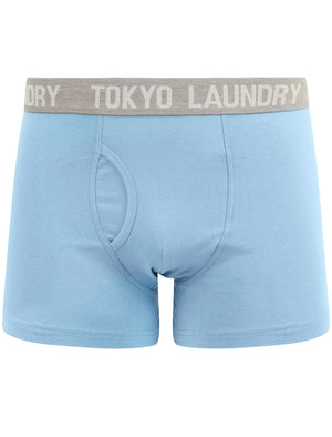 Parvin (2 Pack) Boxer Shorts Set in Allure Blue / Grape Jam - Tokyo Laundry