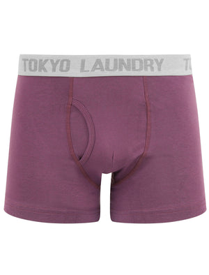 Parvin (2 Pack) Boxer Shorts Set in Allure Blue / Grape Jam - Tokyo Laundry