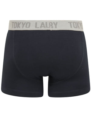 Parvin (2 Pack) Boxer Shorts Set in Scarlet Sage / Sky Captain Navy - Tokyo Laundry
