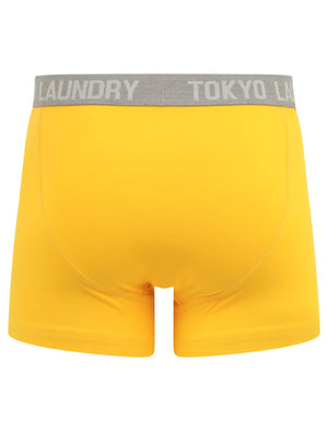 Parvin (2 Pack) Boxer Shorts Set in Solar Yellow / Hunter Green - Tokyo Laundry